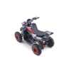 Elektrinis keturratis HIGHPER 1000W 48V